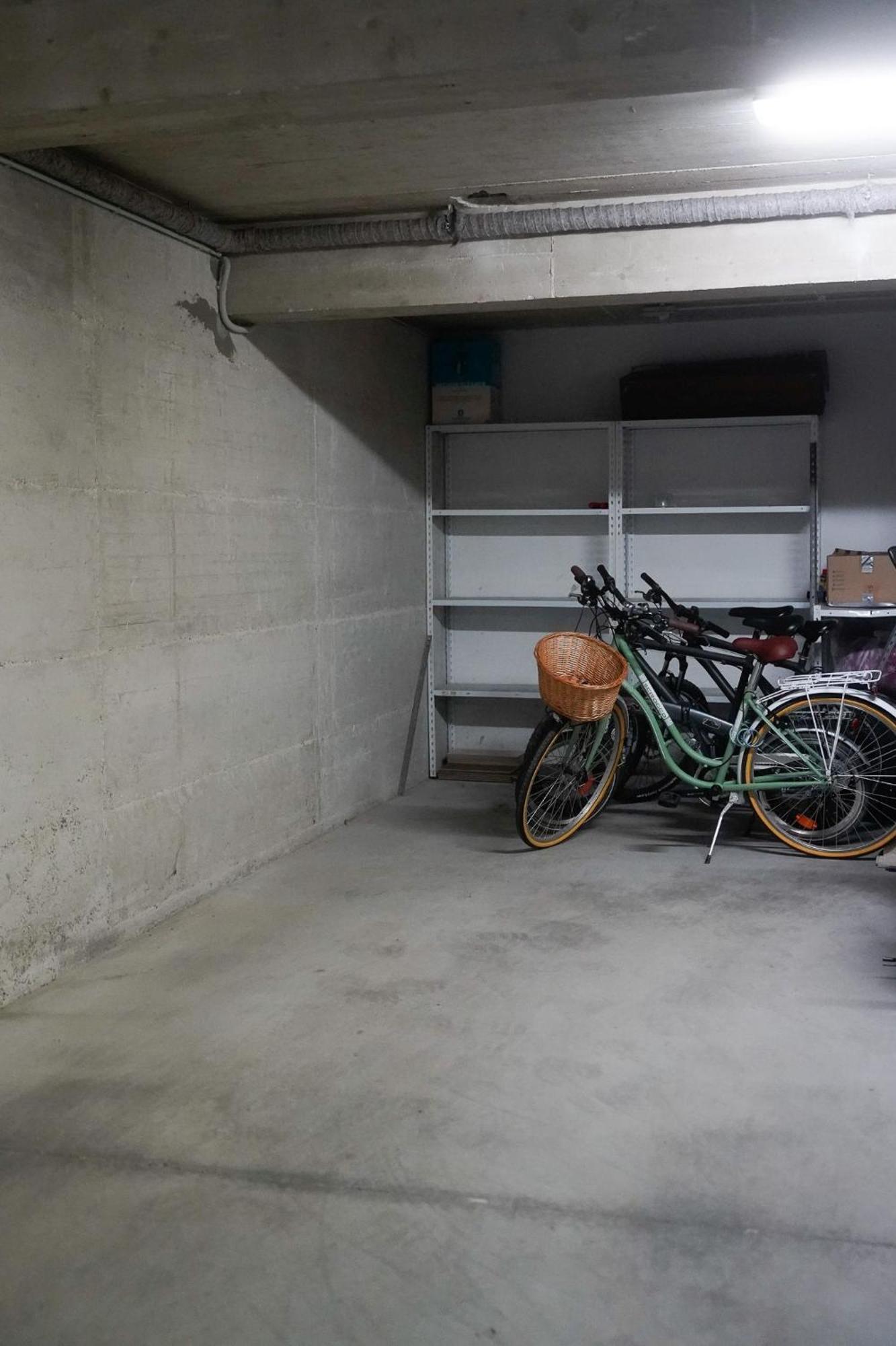 Dandelion Apartment Rovinj-Free Bikes Екстер'єр фото